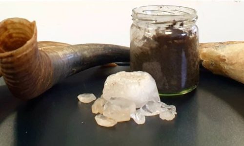 formation-biodynamie